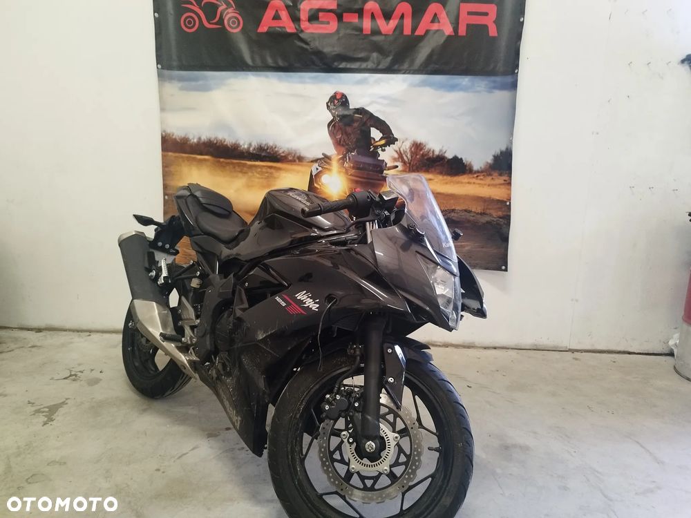 Kawasaki Ninja
