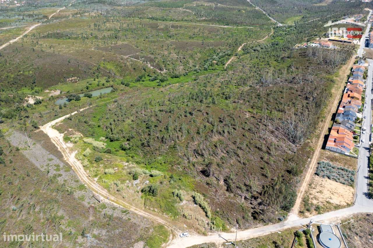 TERRENO URBANO COM AREA DE 40.000 M2 EM CASAL DAS FIGUEIRAS CAXARIAS - Grande imagem: 5/16