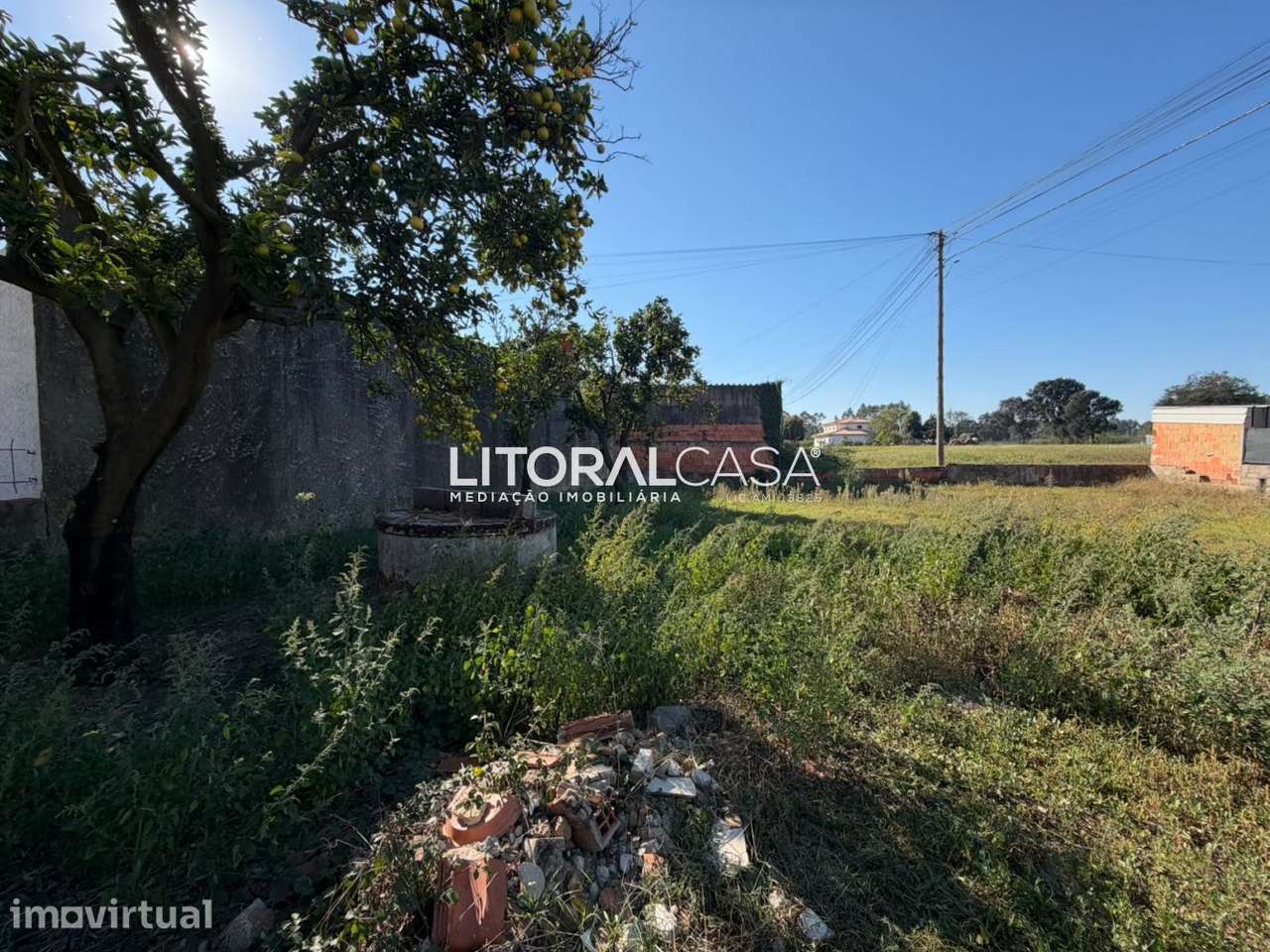 Terreno com viabilidade de construção | Troviscal - Grande imagem: 2/9