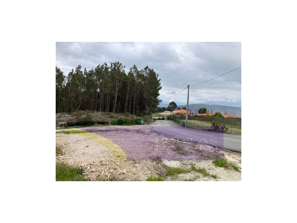 Terreno, Celorico de Bastos - Grande imagem: 4/14