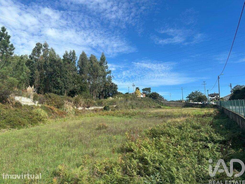 Terreno Agrícola em Foz do Sousa e Covelo - Grande imagem: 2/4