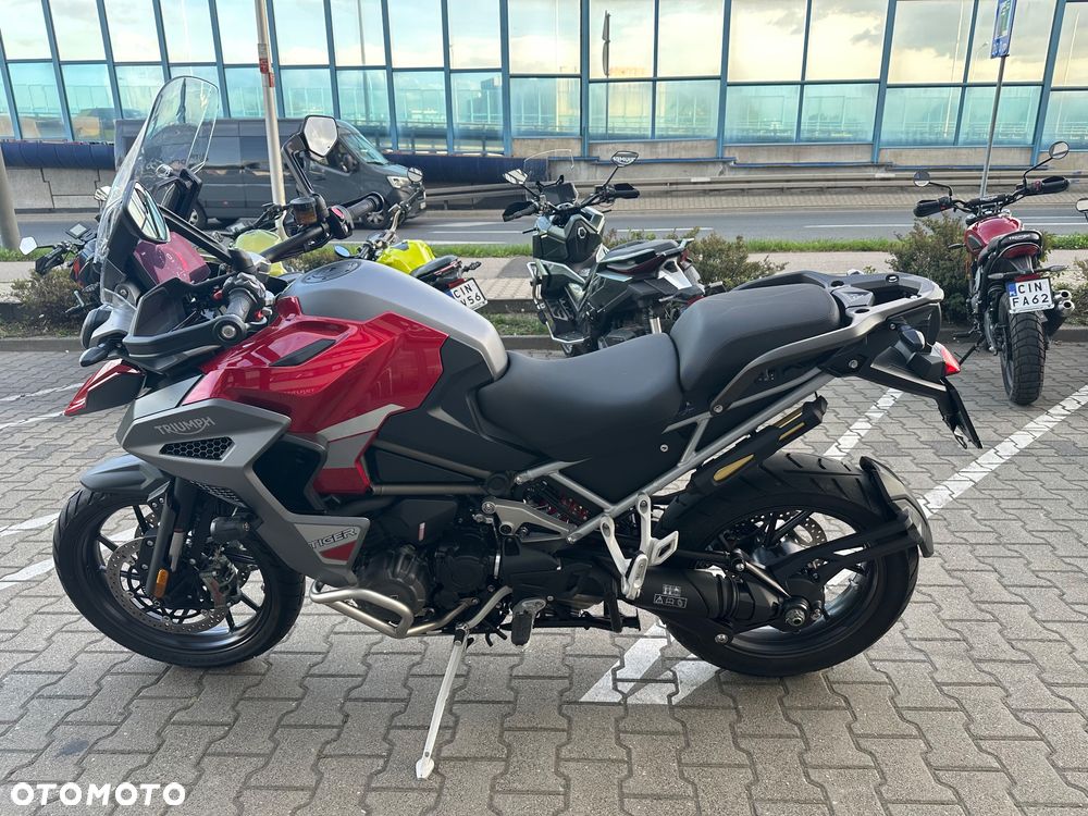 Triumph Tiger - 6