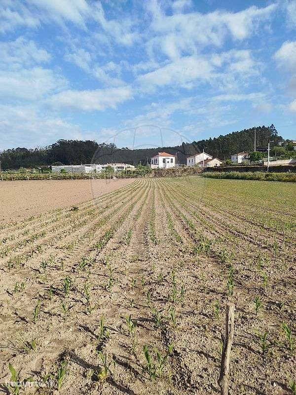 Terreno  para venda - Grande imagem: 4/8