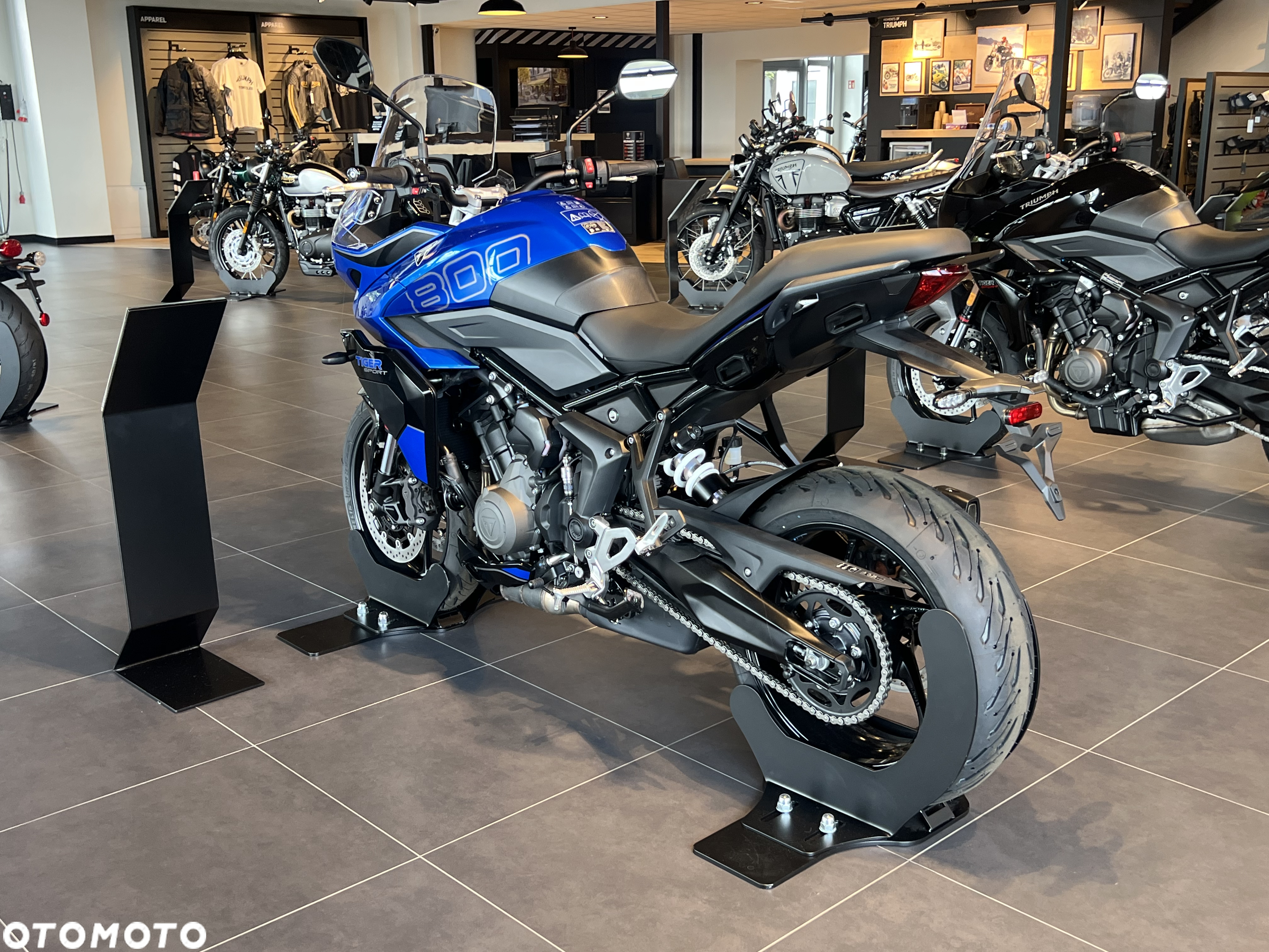 Triumph Tiger - 3