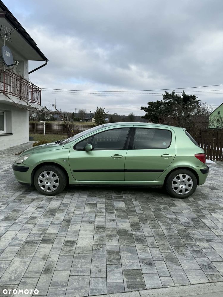 Peugeot 307 1.6 XS - 3