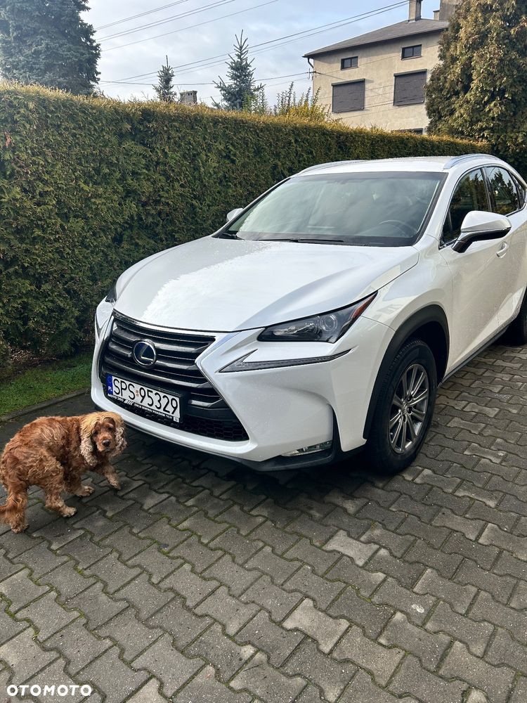 Lexus NX 300h - 3