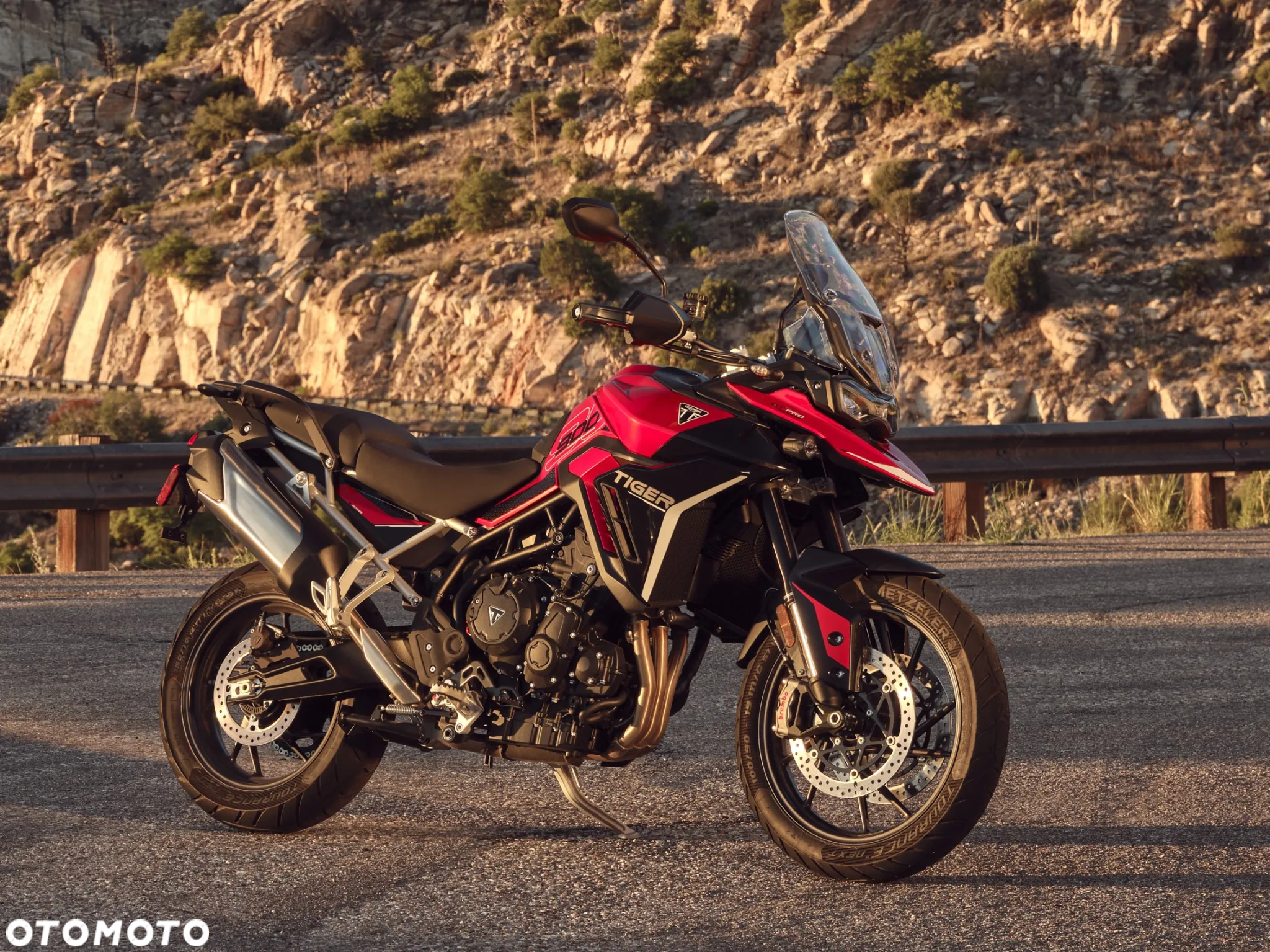 Triumph Tiger