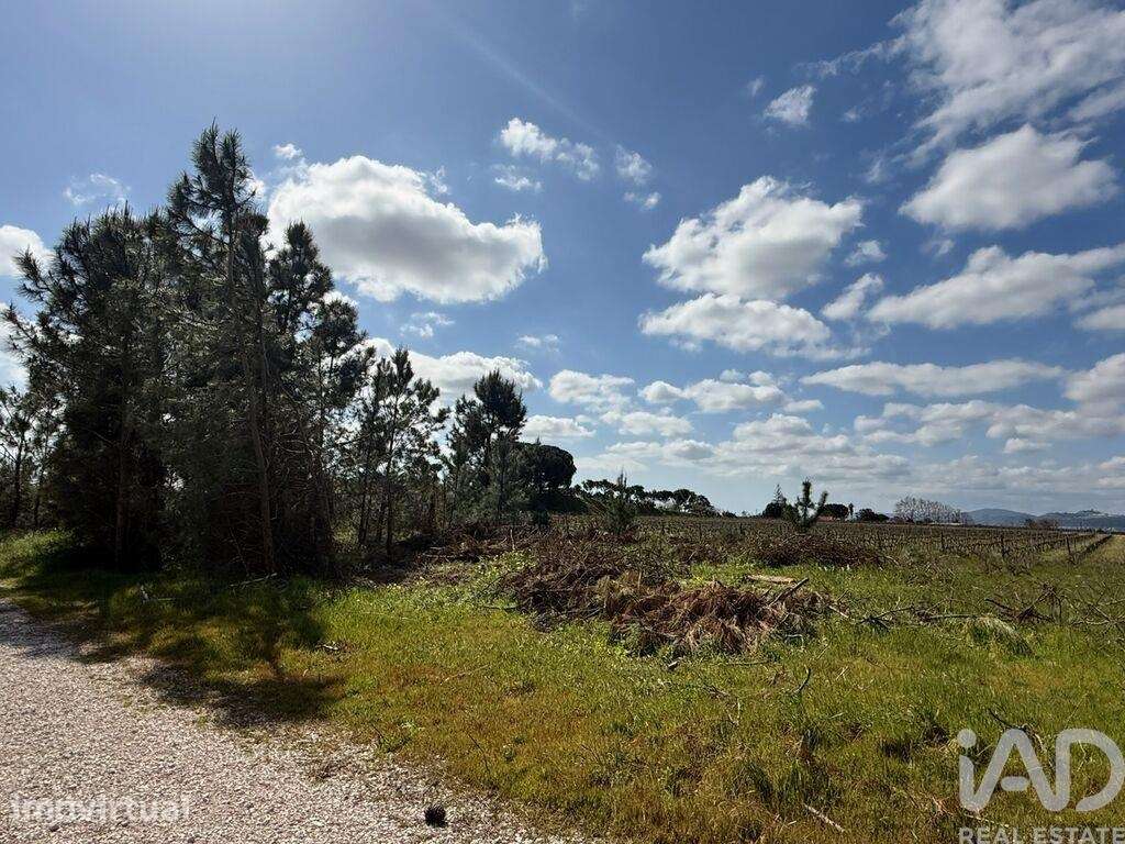Terreno Agrícola em Palmela - Grande imagem: 4/13
