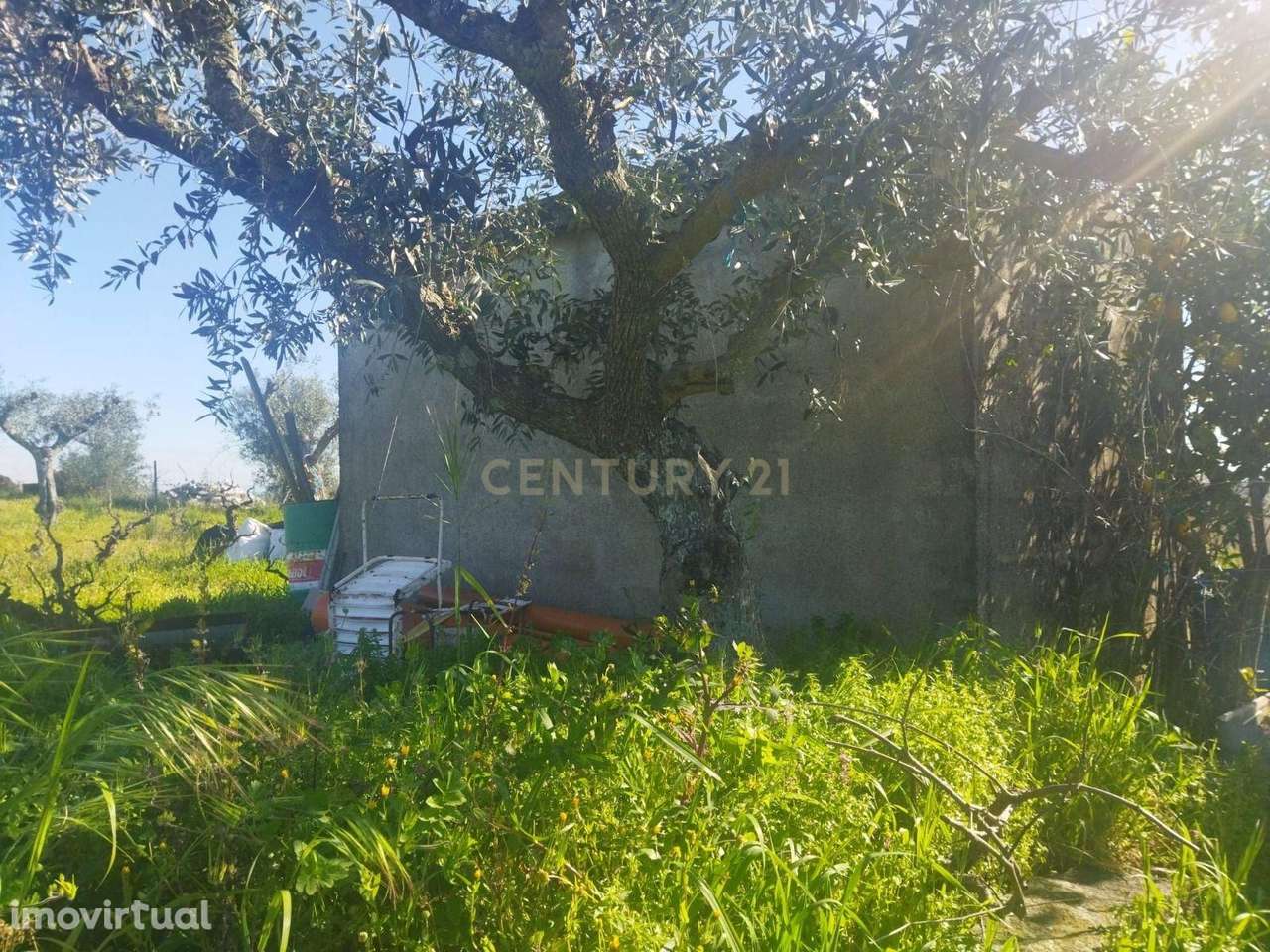 Terreno Rústico, Lousa em Castelo Branco - Grande imagem: 3/10