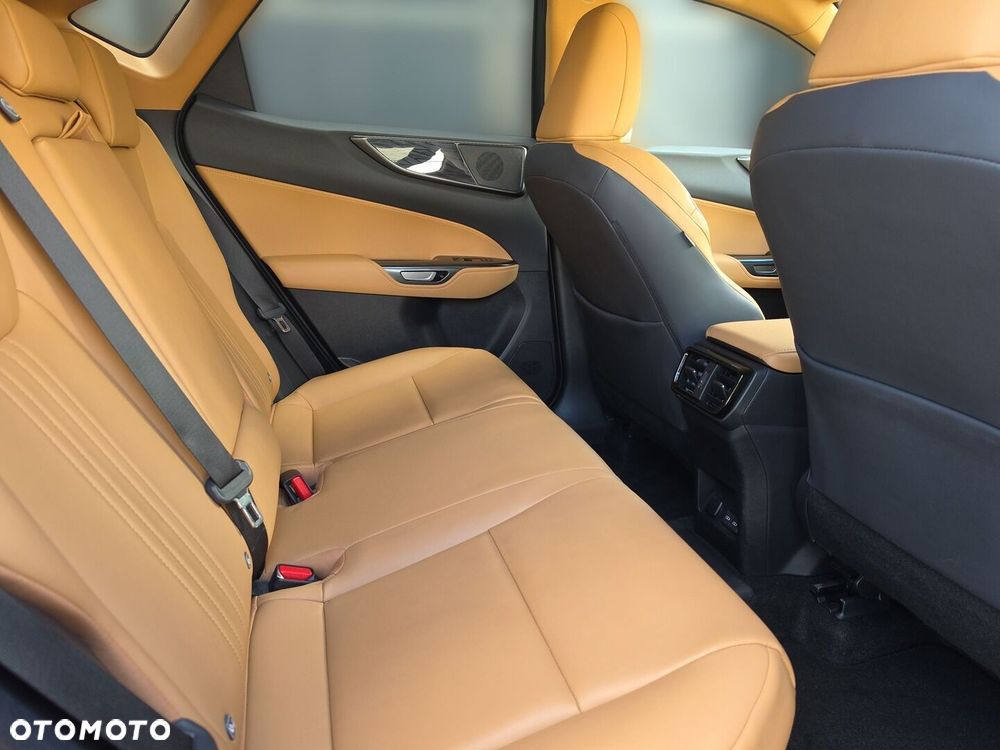 Lexus NX - 24