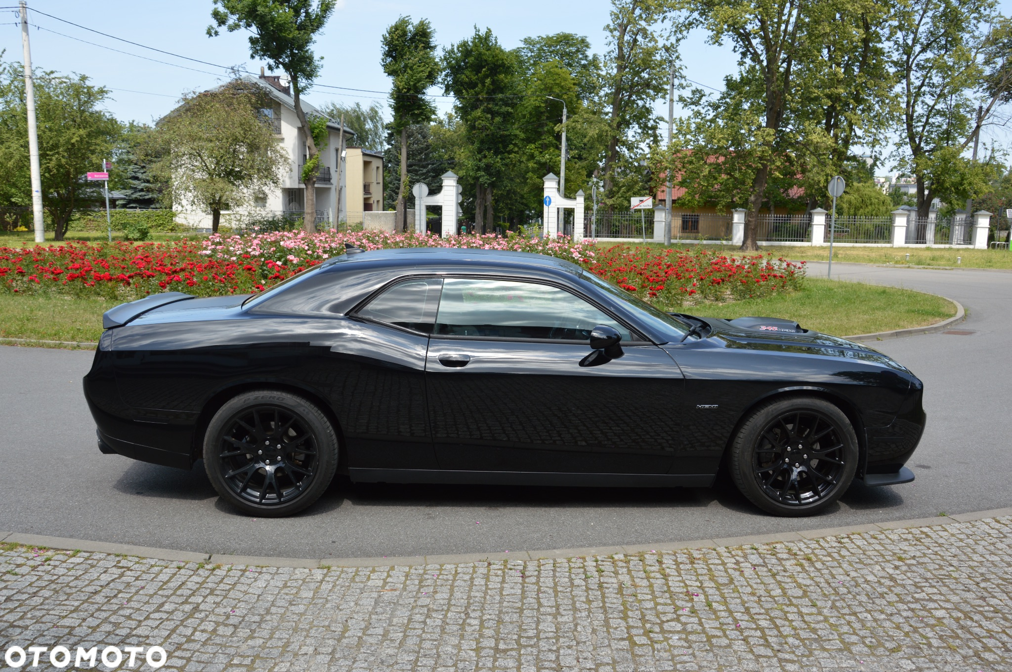 Dodge Challenger Automatik R/T Plus Shaker - 7