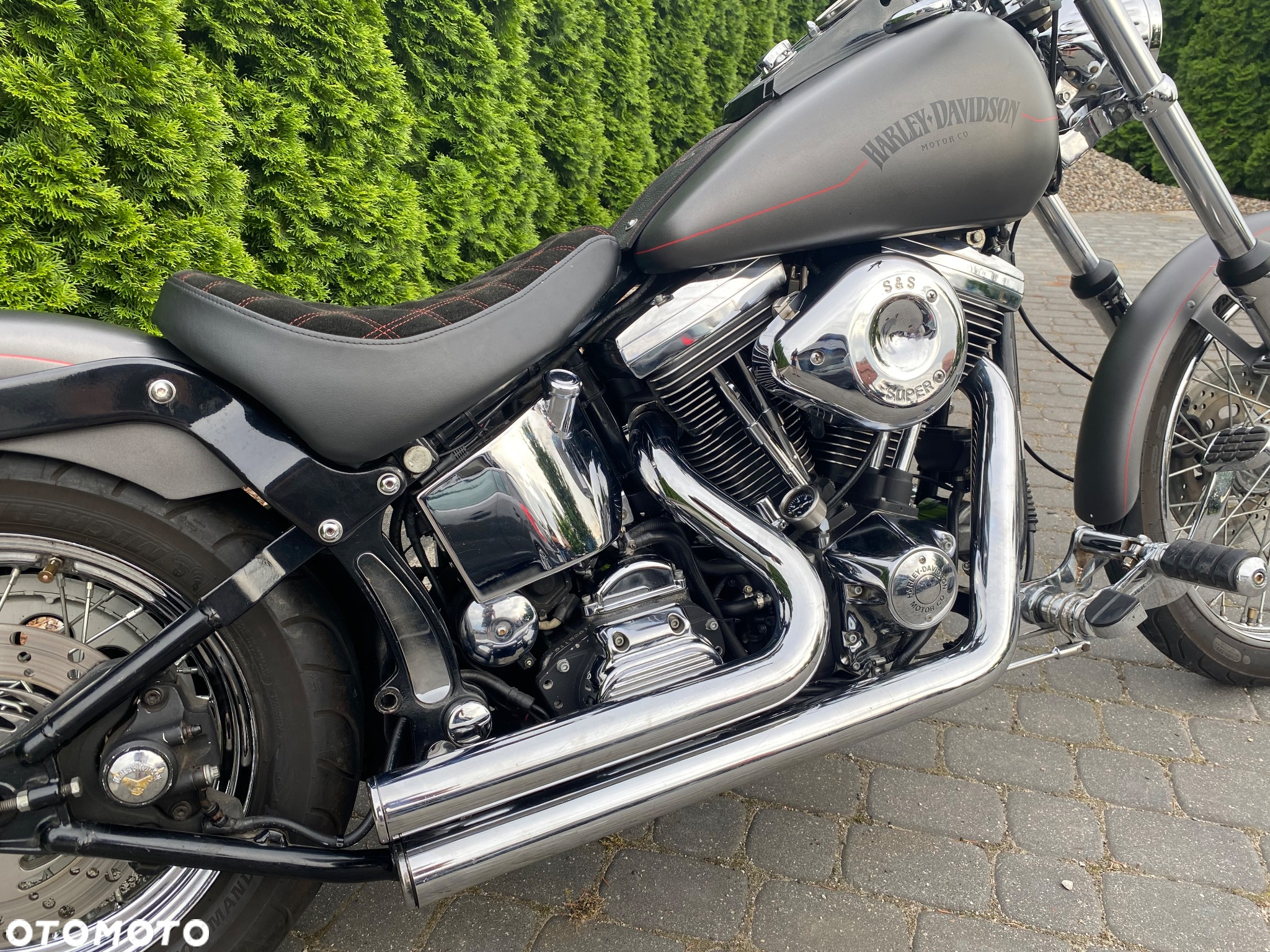 Harley-Davidson Softail Custom - 7