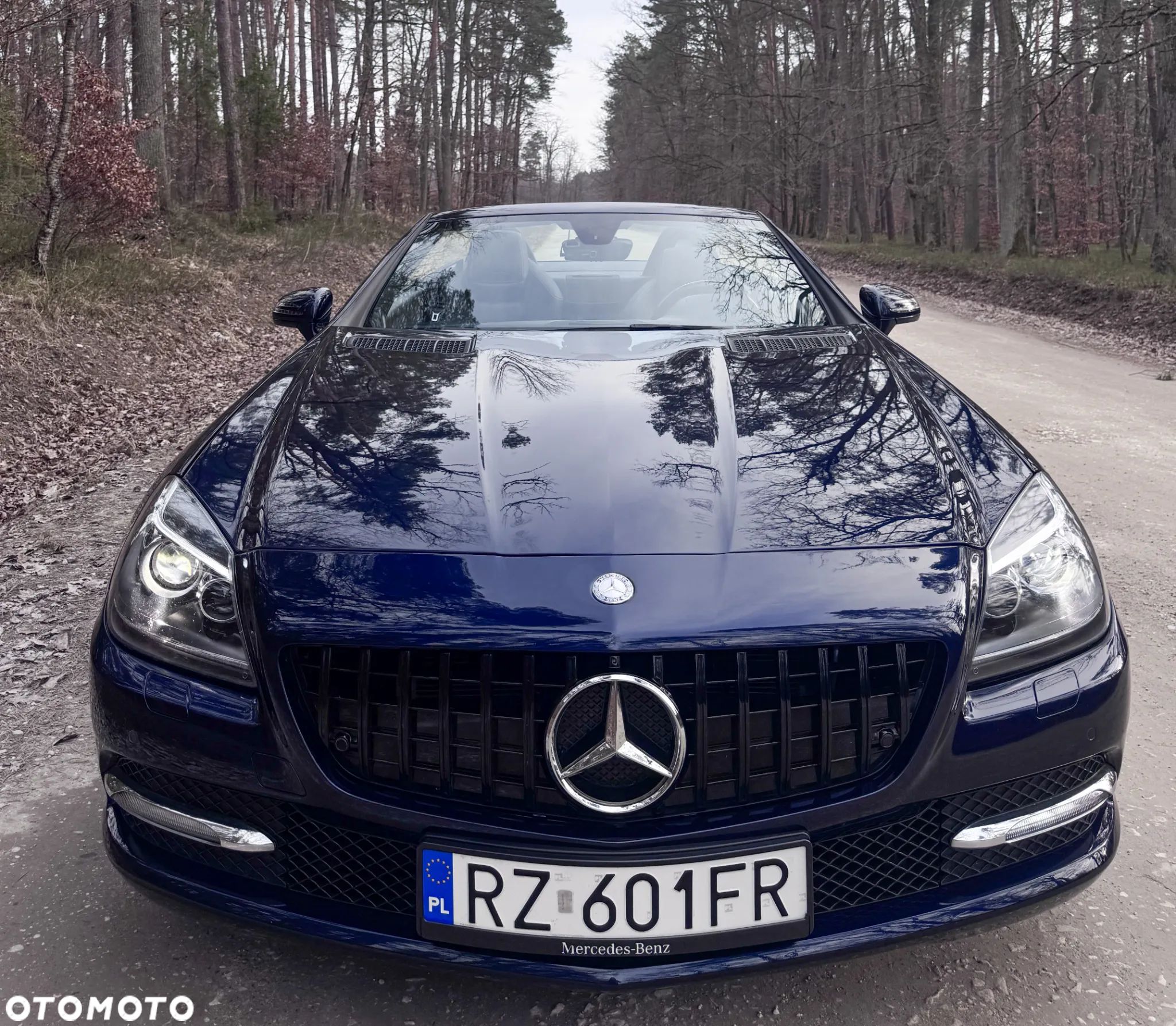 Mercedes-Benz SLK 350 (BlueEFFICIENCY) 7G-TRONIC - 1