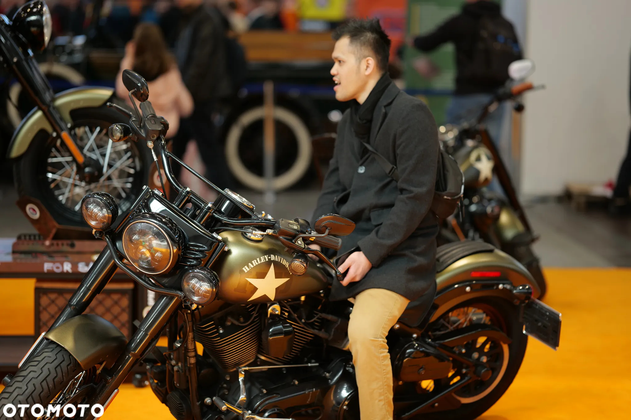 Harley-Davidson Softail Slim - 10