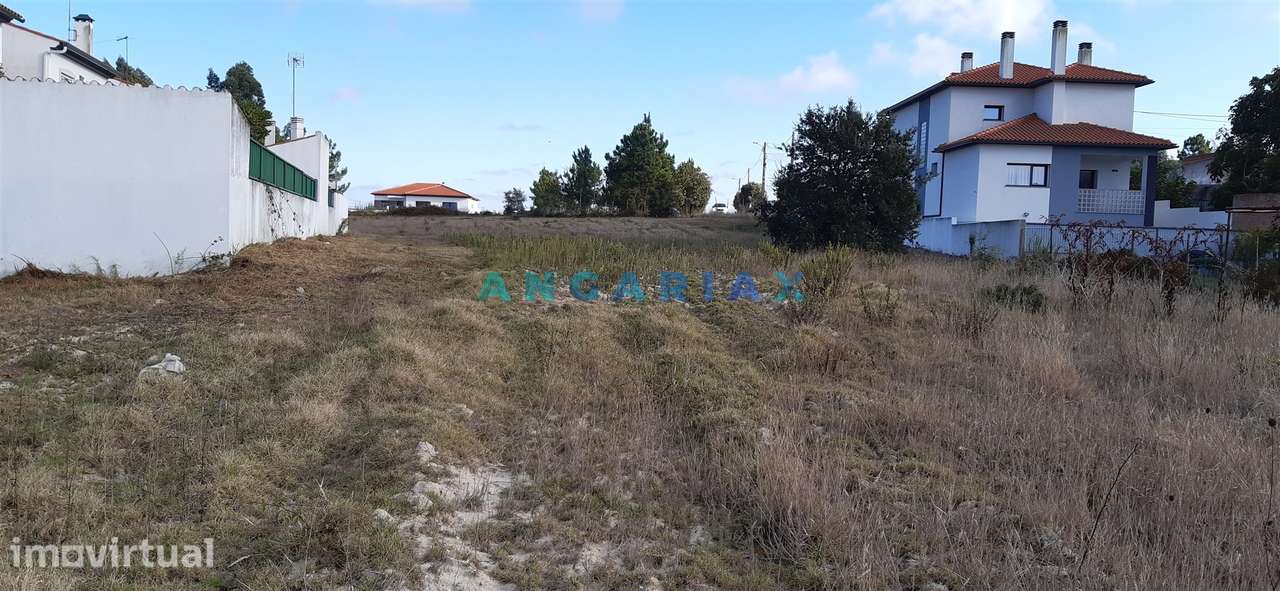 ANG960 - Terreno para Construção, para Venda na zona de Monte Real, em - Grande imagem: 2/12