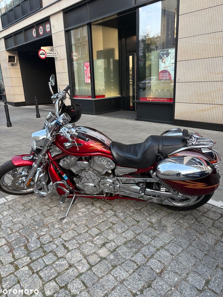 Harley-Davidson Softail V-Rod - 4