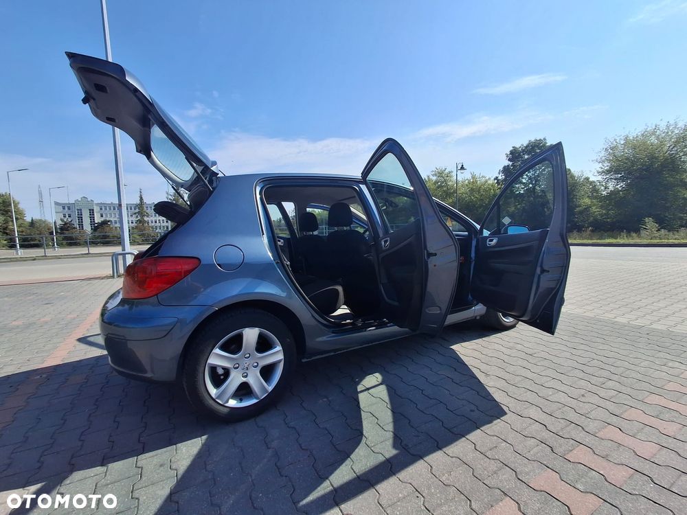 Peugeot 307 1.6 Oxygo - 8
