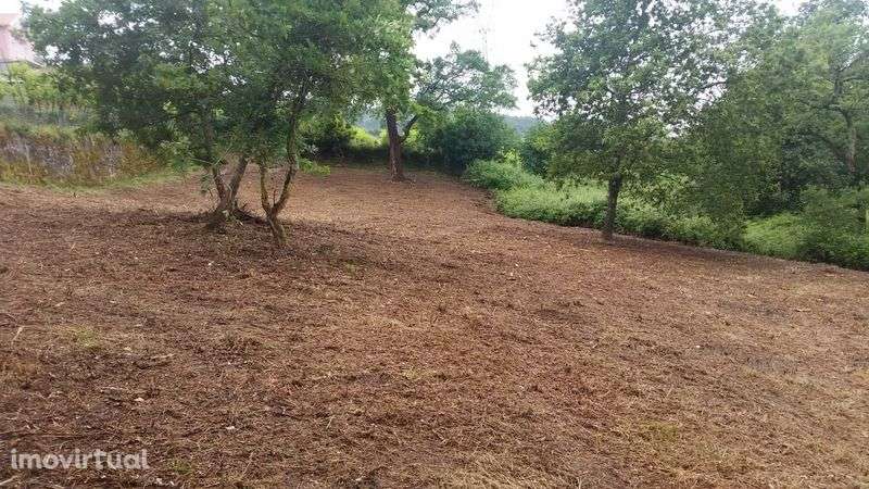 Terreno em Águas Santas e Moure, Póvoa de Lanhoso - Grande imagem: 2/2