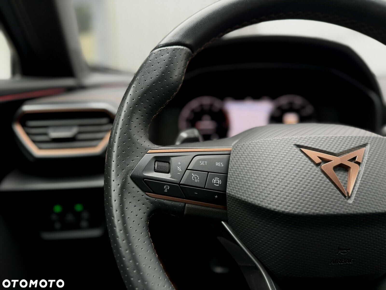 Cupra Formentor 1.5 TSI DSG - 28