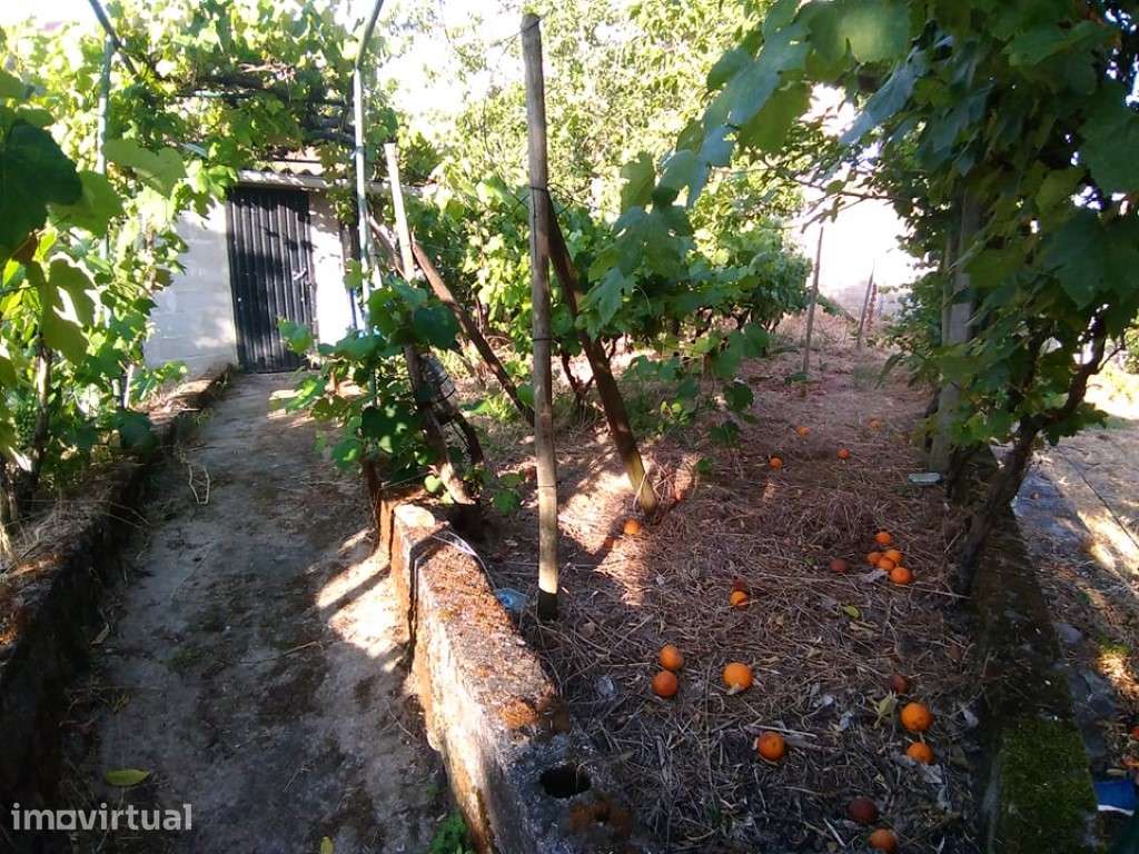 Terreno Urbano - Grande imagem: 4/5