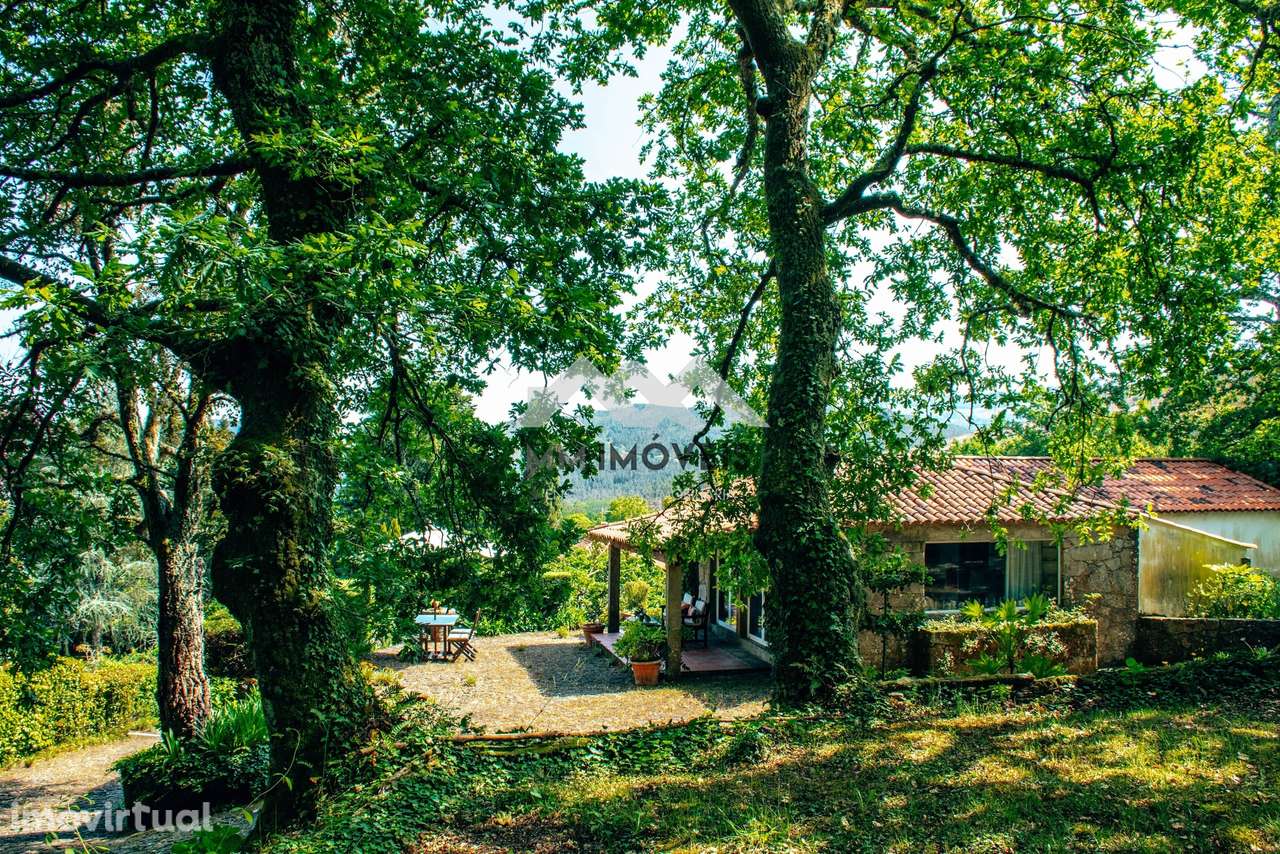 Quinta | Três Casas | Piscina | Jardim | Tranquilidade | Cerveira - Grande imagem: 4/60