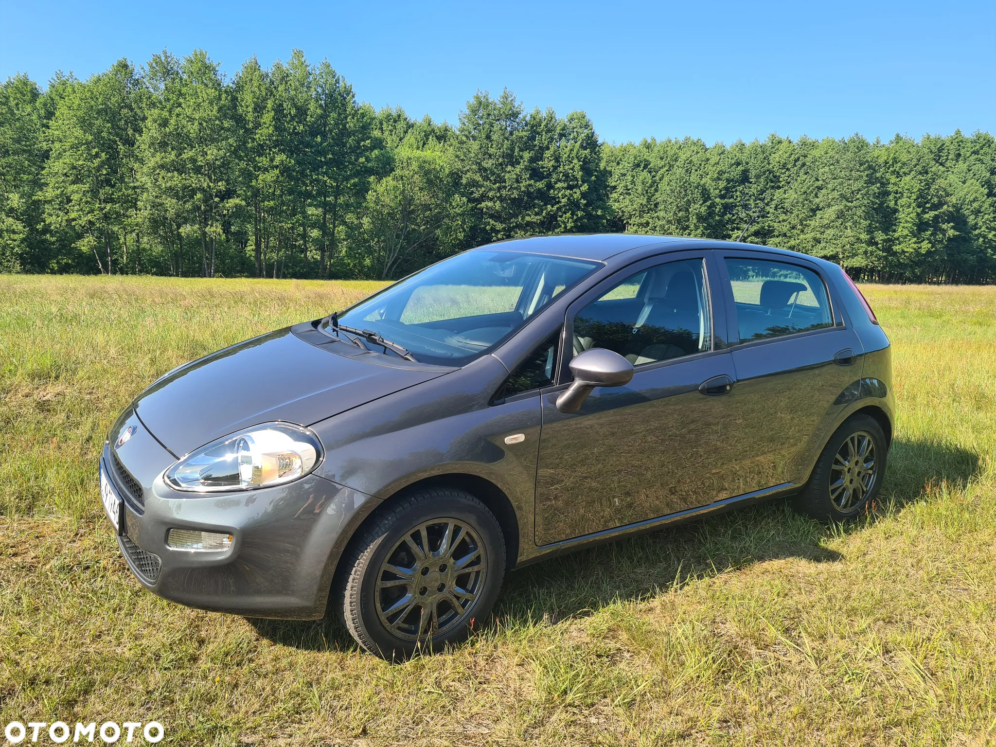 Fiat Punto - 19