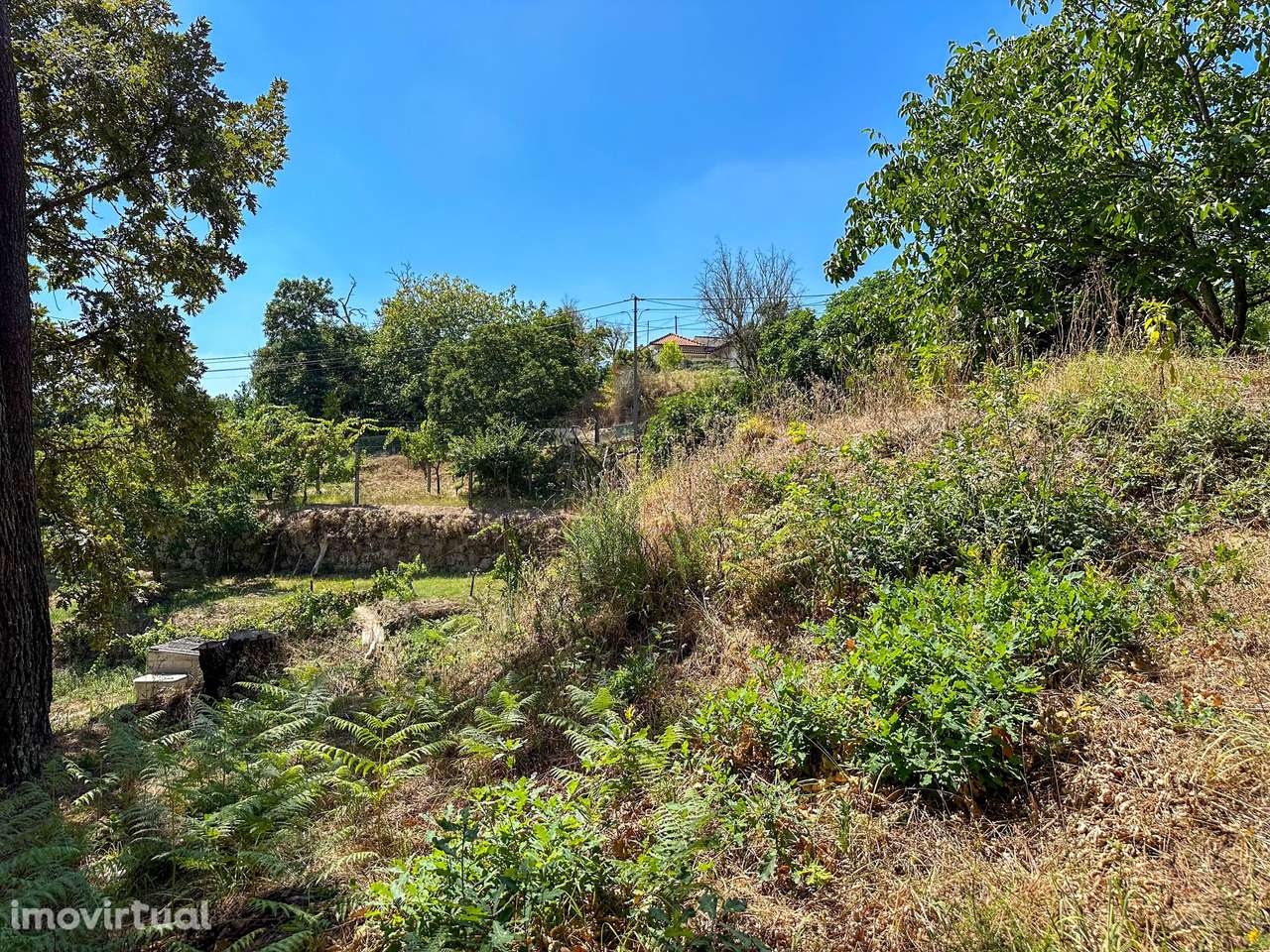 Terreno  Venda em Lufrei,Amarante - Grande imagem: 3/12