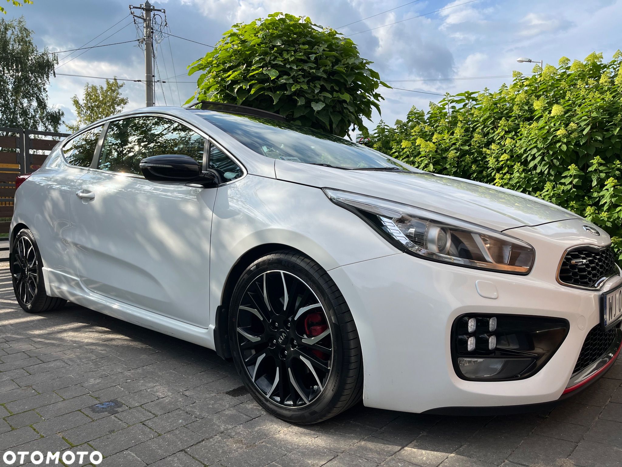 Kia Ceed Cee'd 1.6 T-GDI GT XL - 1