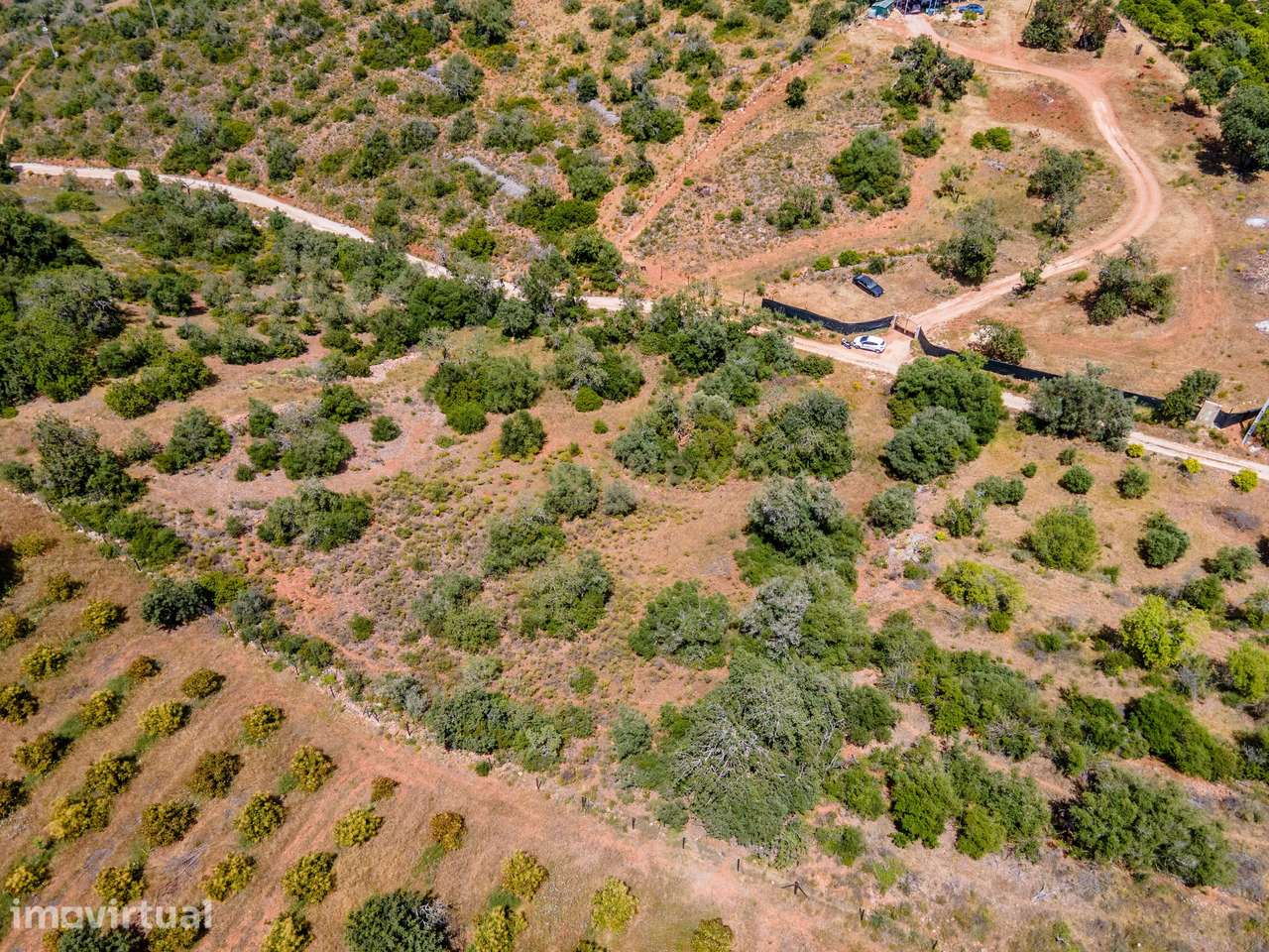 Terreno rústico em Torres e Cercas (Silves) – 2670 m2, bons acessos e - Grande imagem: 5/11