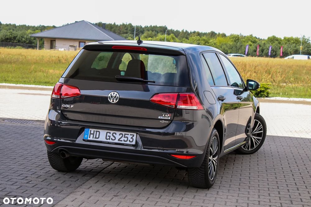 Volkswagen Golf 1.6 TDI BlueMotion Technology Allstar - 6