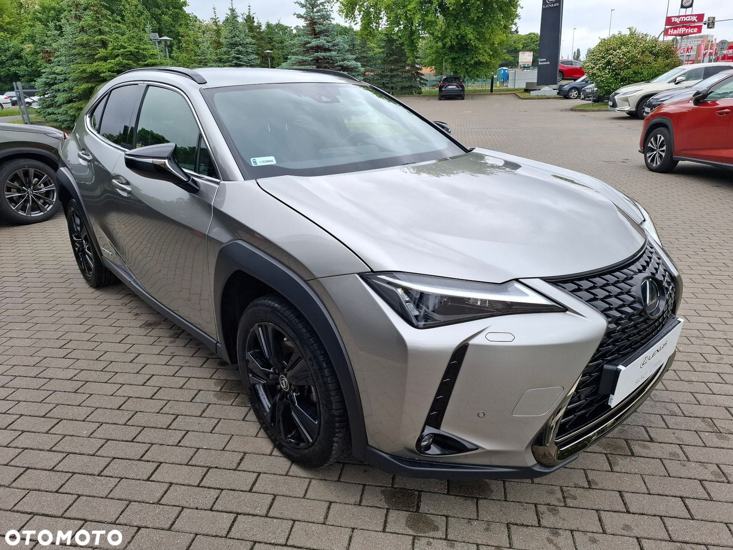 Lexus UX 250h GPF F Impression 2WD - 7