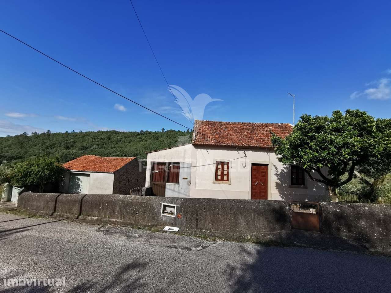 Moradia t3 com terreno - Grande imagem: 2/40