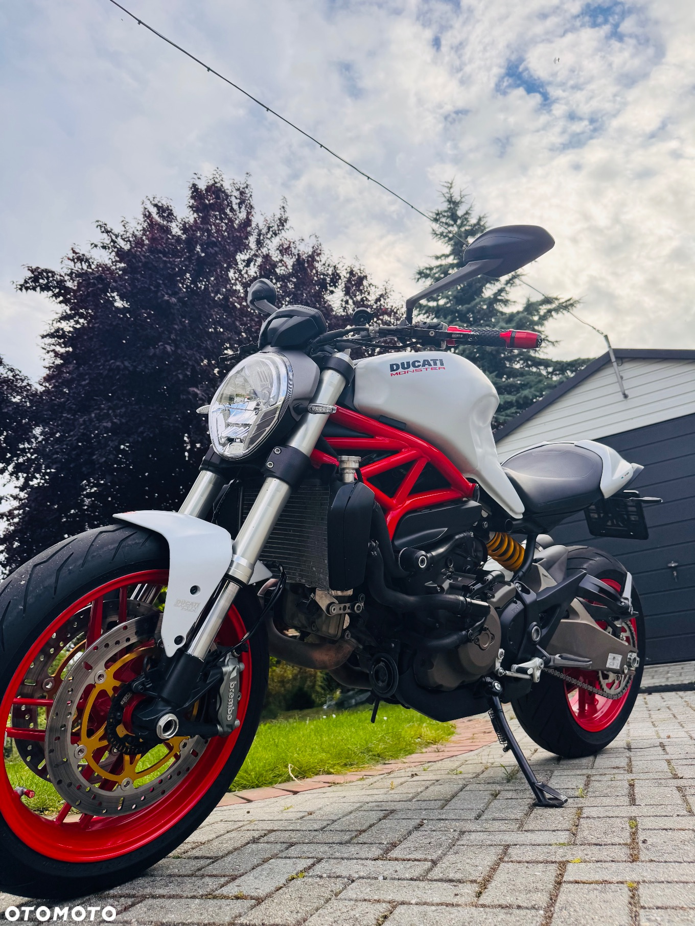 Ducati Monster - 3