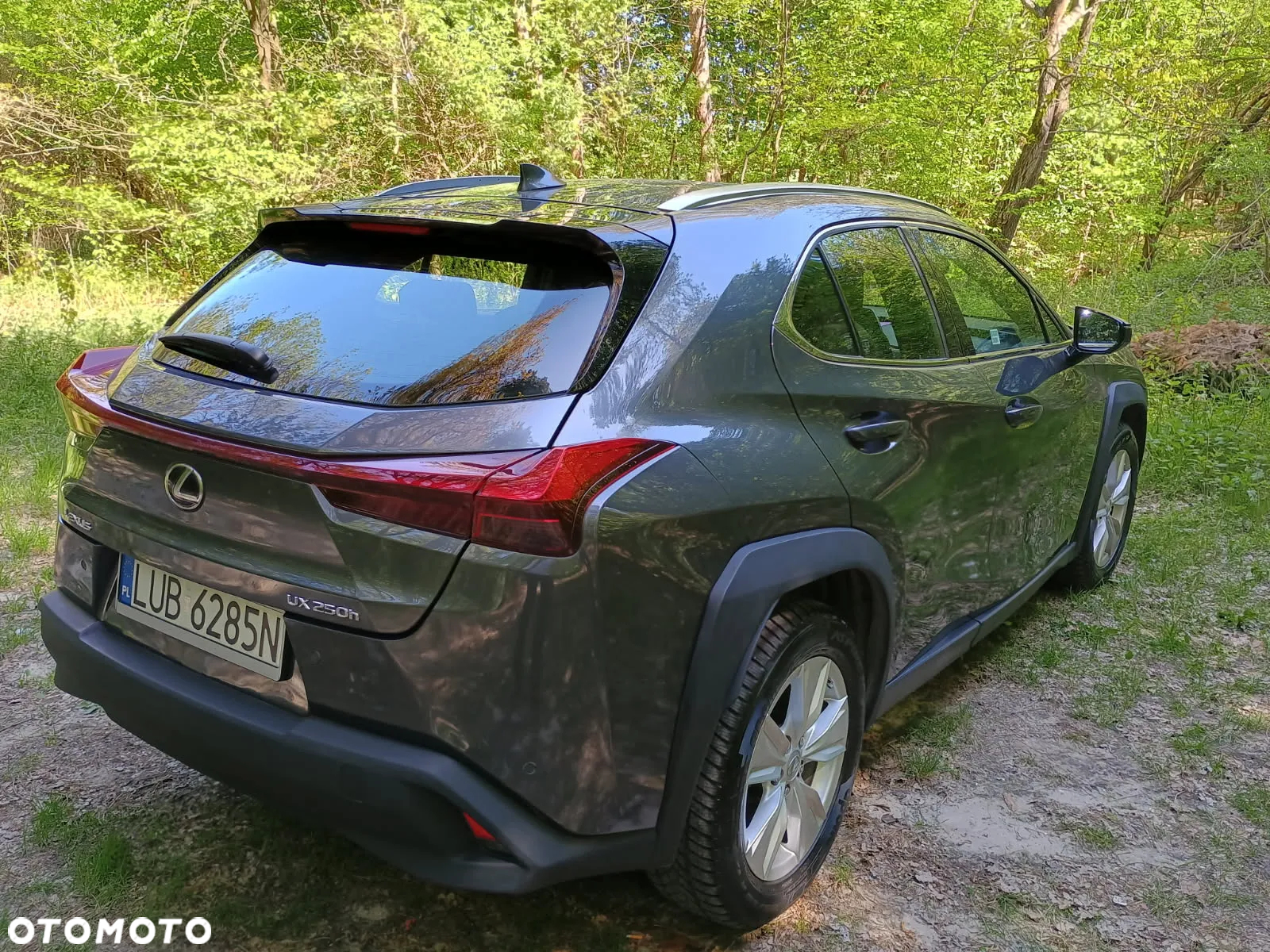 Lexus UX 250h GPF Business 2WD - 13