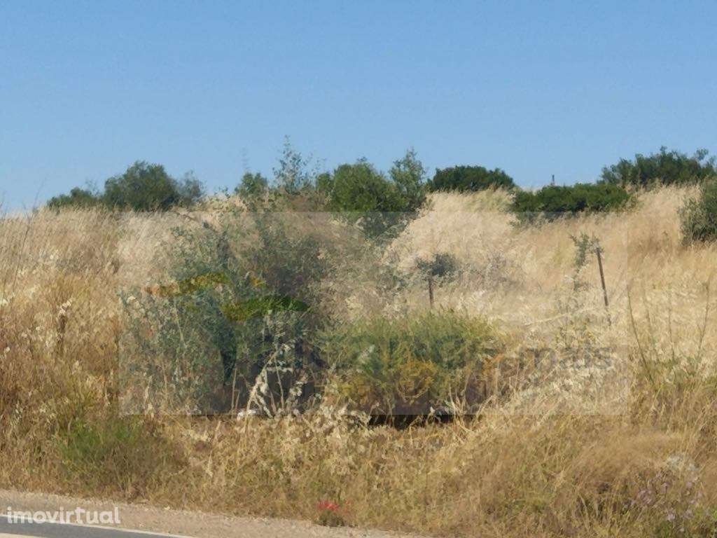 Terreno Rústico com 3,8 Hectares - Potencial para Turismo Rural ou ... - Grande imagem: 2/3