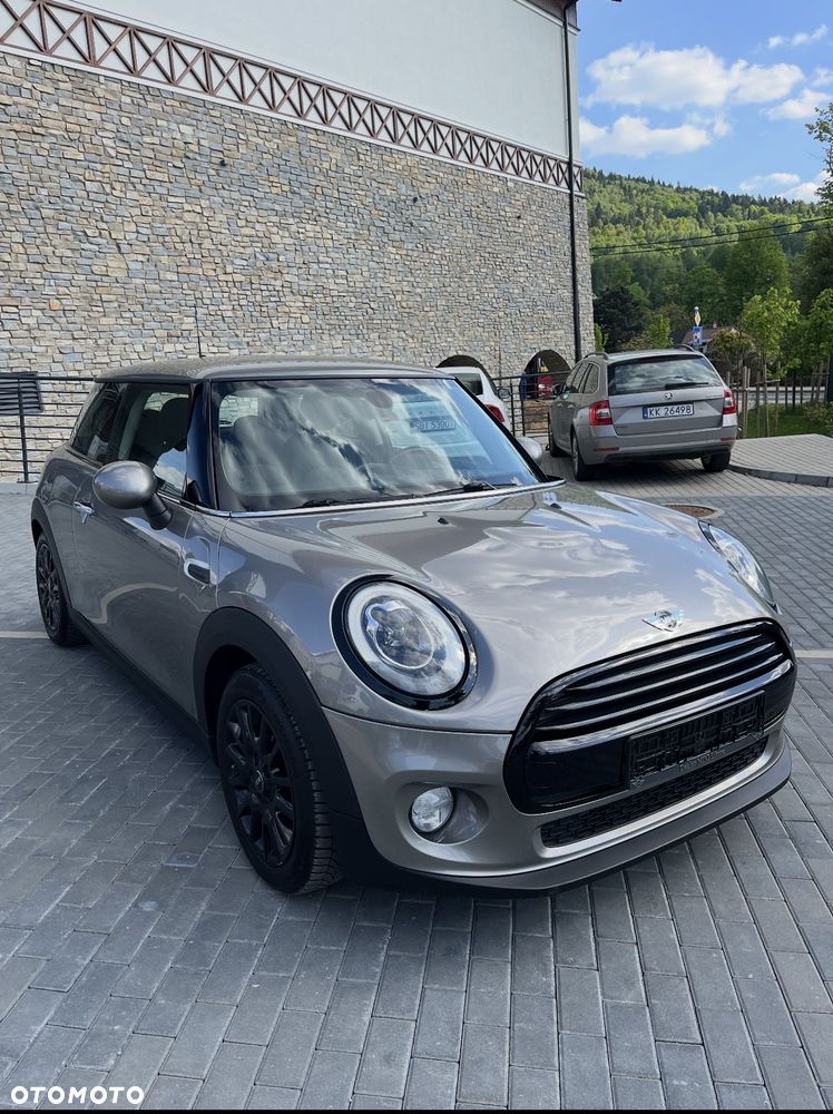 MINI ONE Blackyard - 2