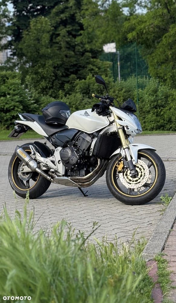 Honda Hornet