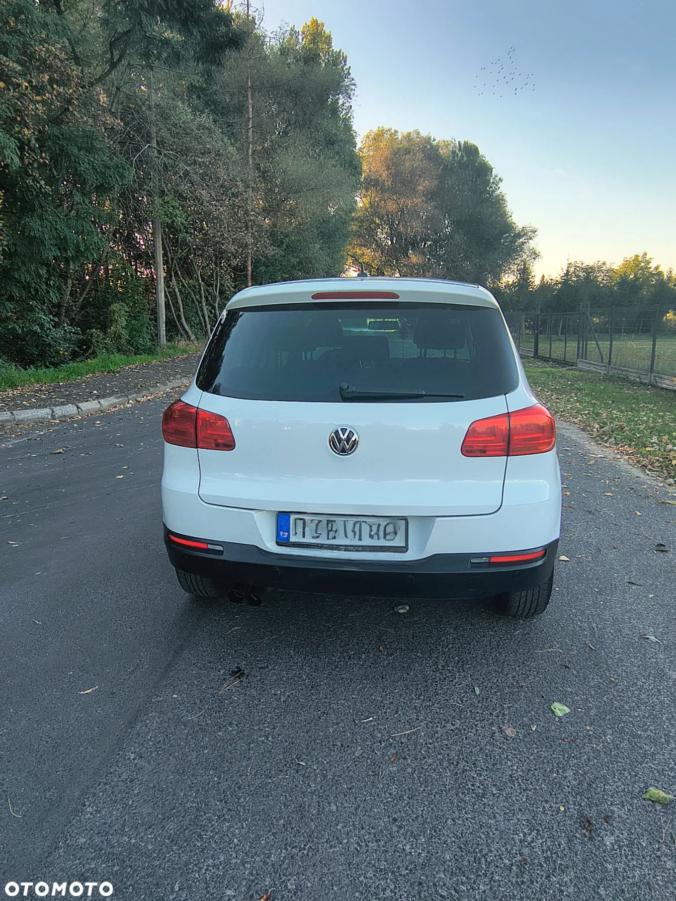 Volkswagen Tiguan 1.4 TSI BlueMotion Technology Cityscape - 12