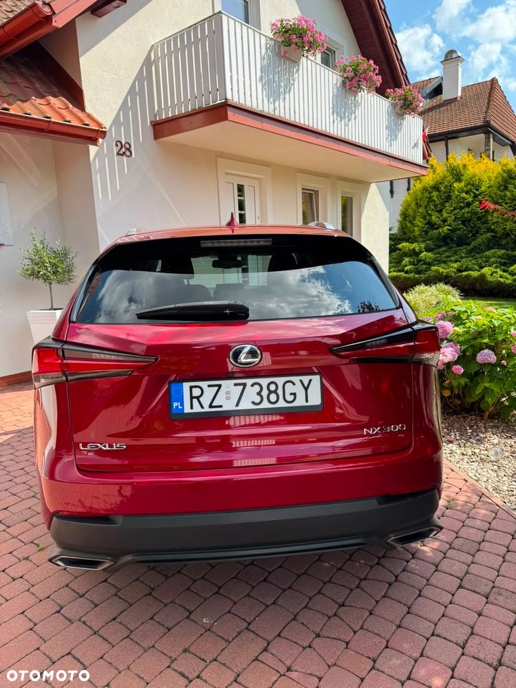 Lexus NX 300 AWD - 3