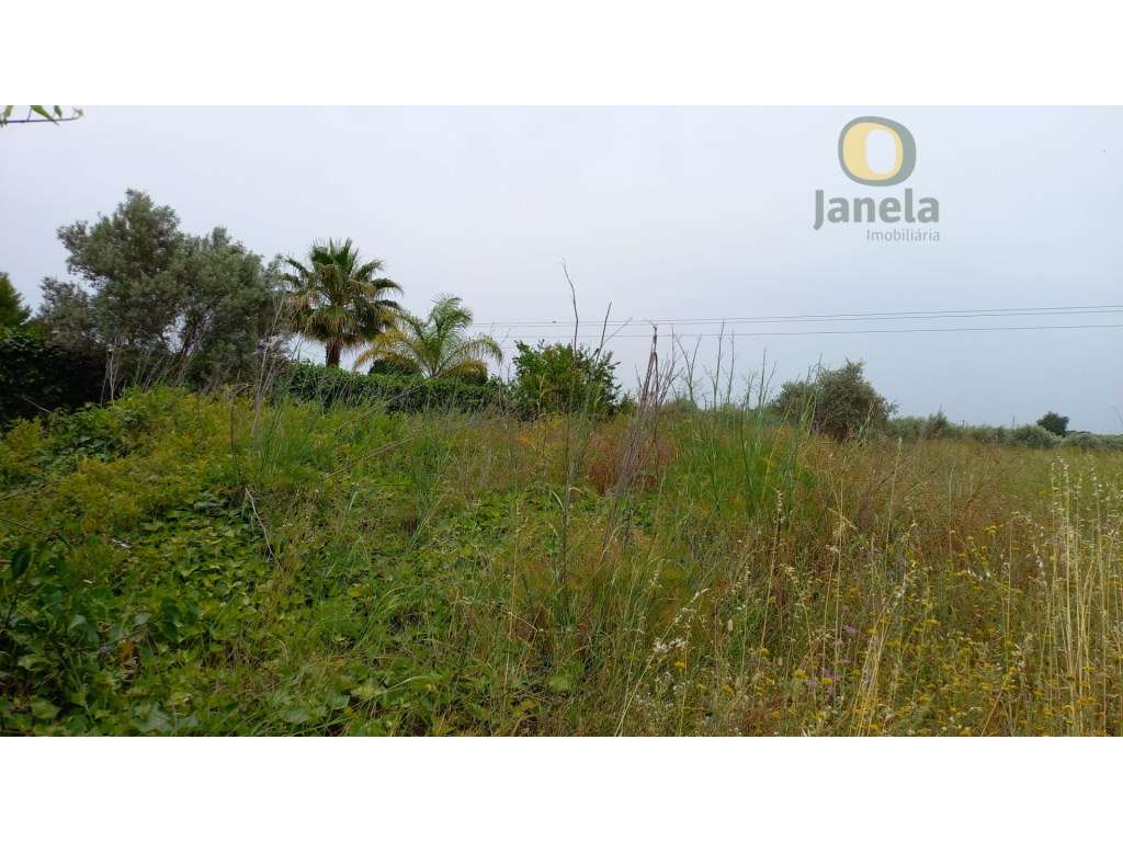 Quinta com 2 hectares e casa por restaurar - Grande imagem: 2/3