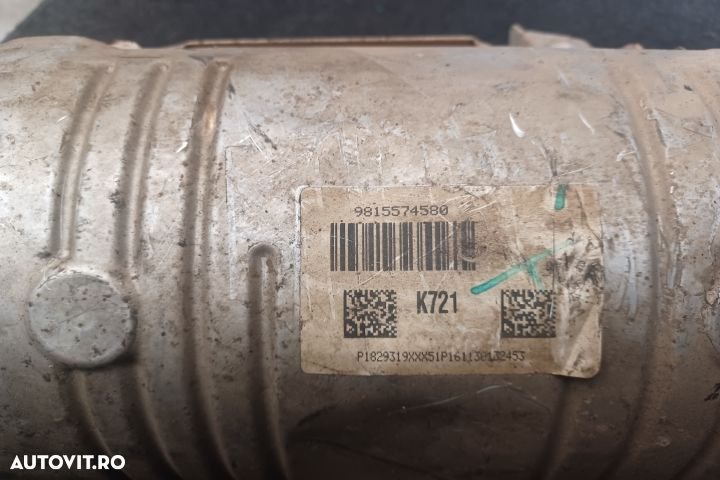 Filtru de particule 1321717X 9815574580 1321717X 9815574580 Peugeot P - 5