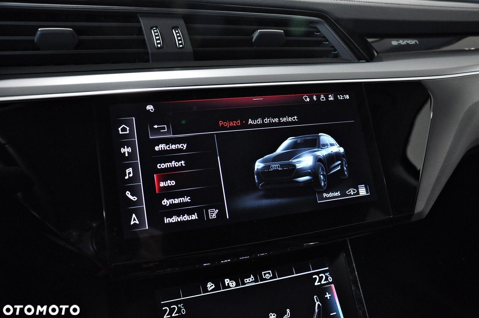 Audi e-tron - 19