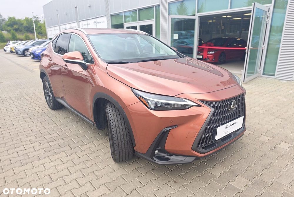 Lexus NX - 22