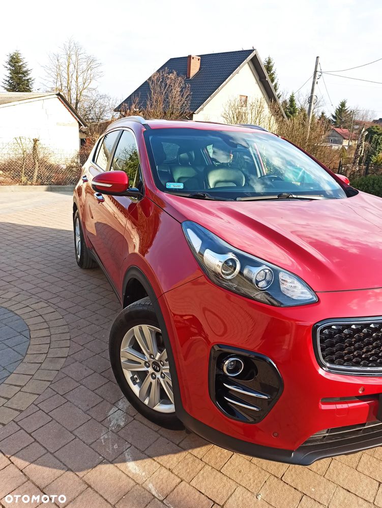 Kia Sportage 1.6 GDI L Business Line 2WD - 2