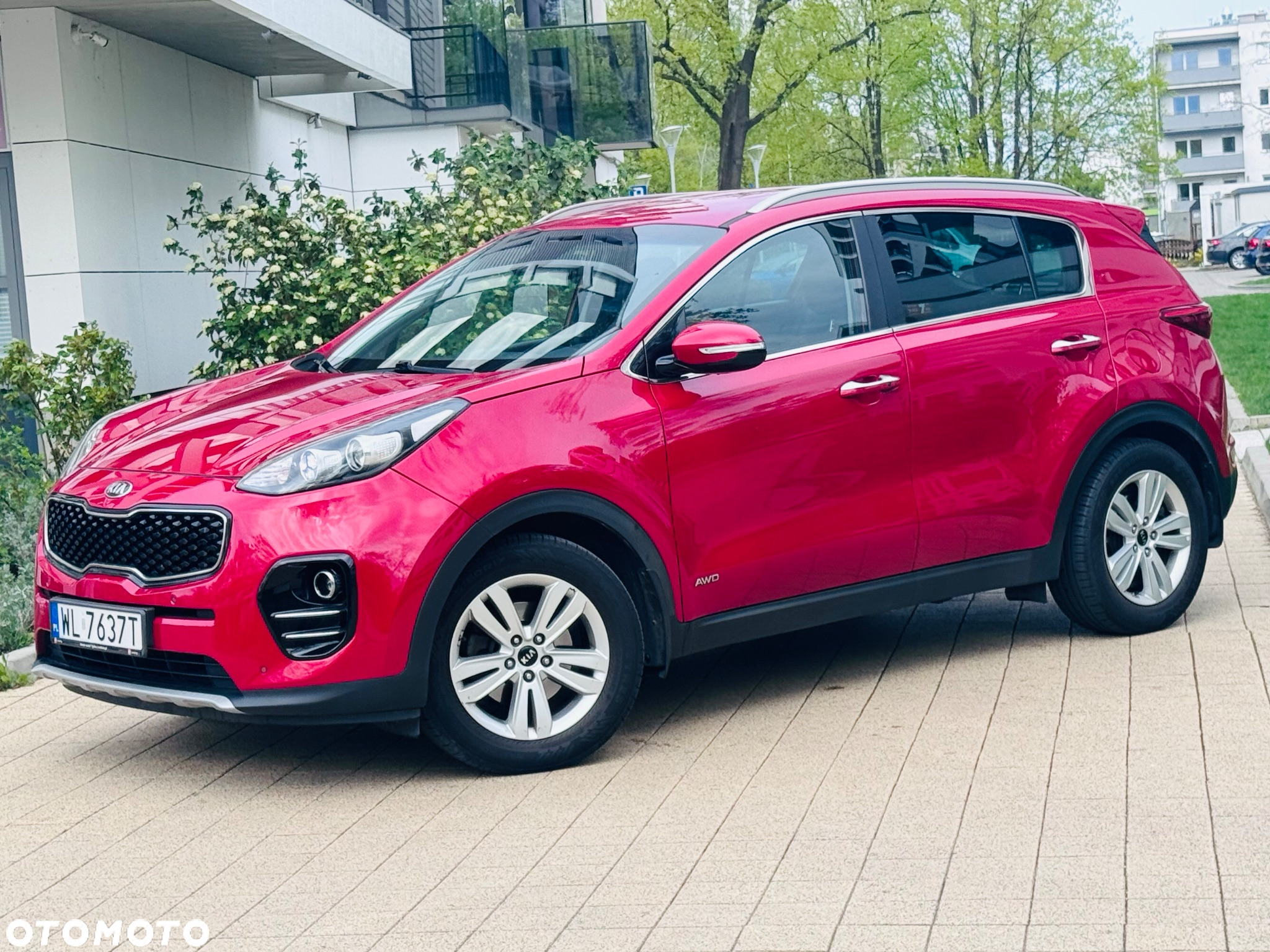 Kia Sportage 1.6 T-GDI Business Line 4WD DCT - 6