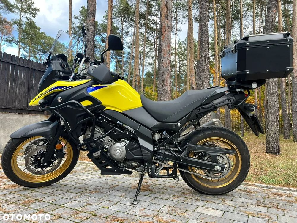 Suzuki DL - 3