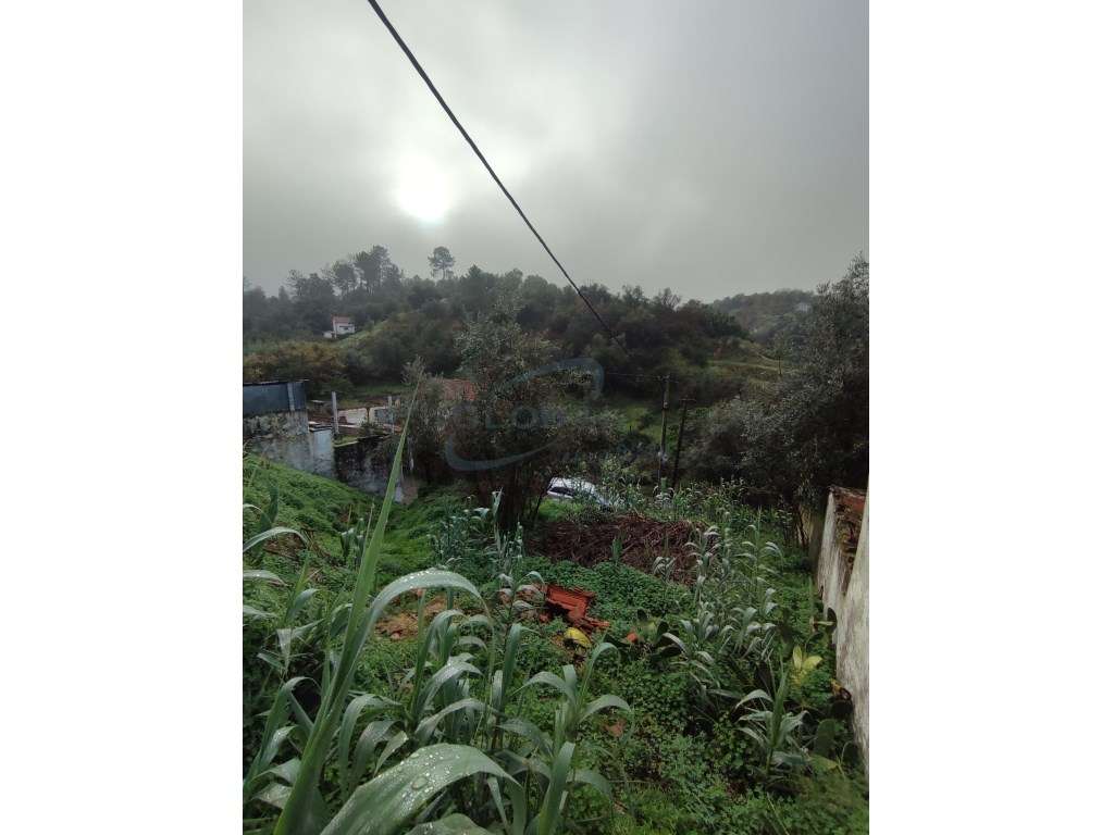 Terreno com Ruína para Reconstrução - Arripiado - Grande imagem: 2/6