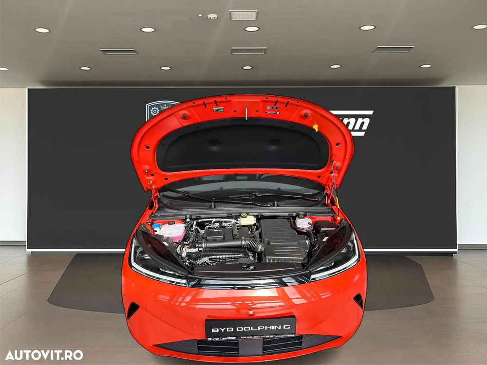 Byd Dolphin Comfort - 4