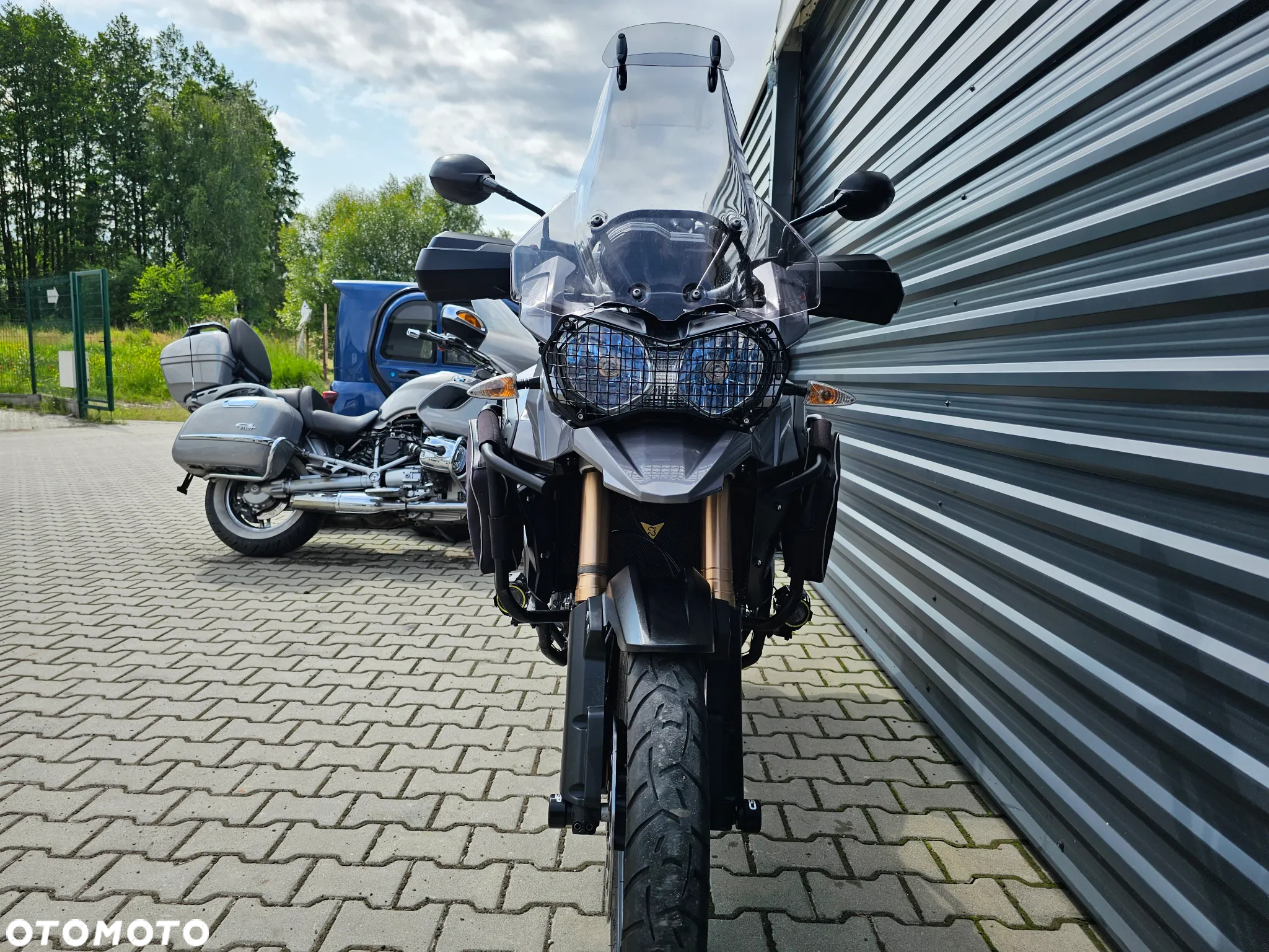 Triumph Tiger - 9
