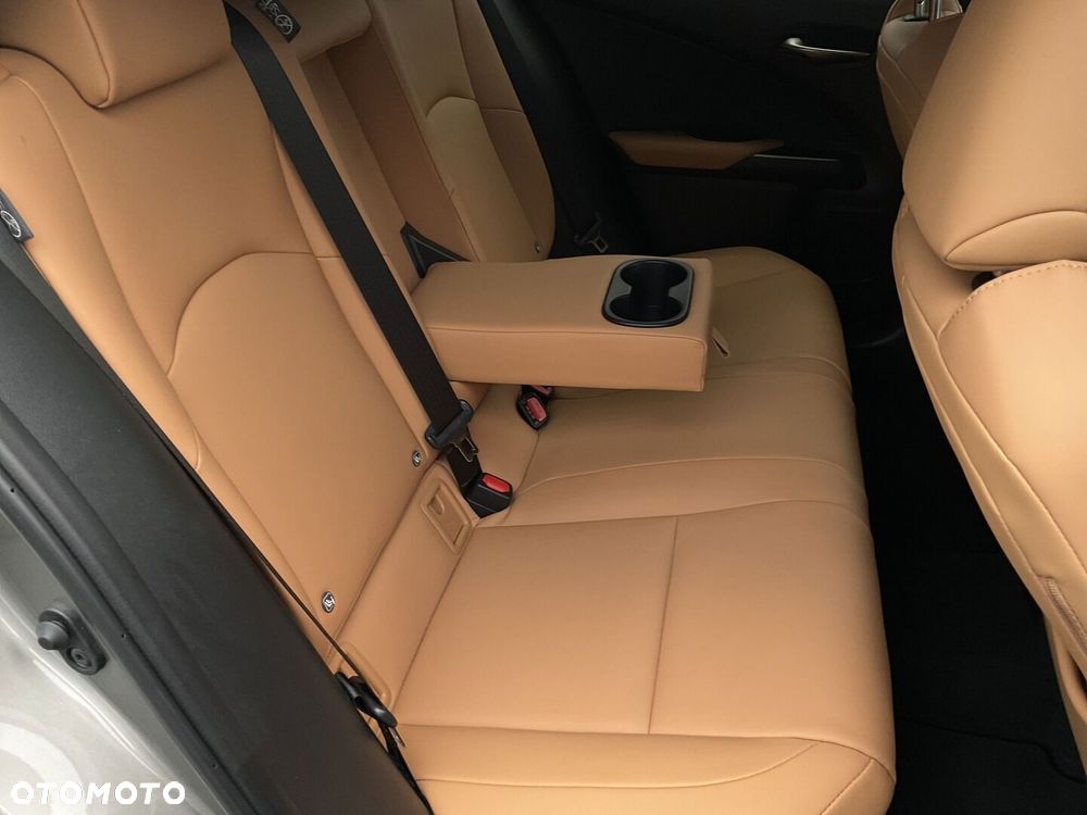 Lexus UX 300h F Sport Design AWD - 15